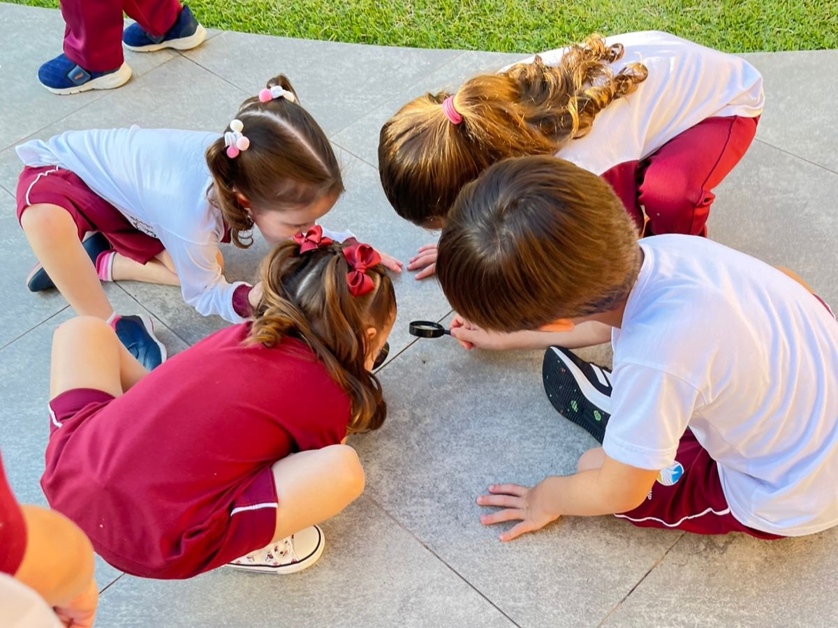 4906d1ea-c141-4a4f-949f-8c0f230aa0ed