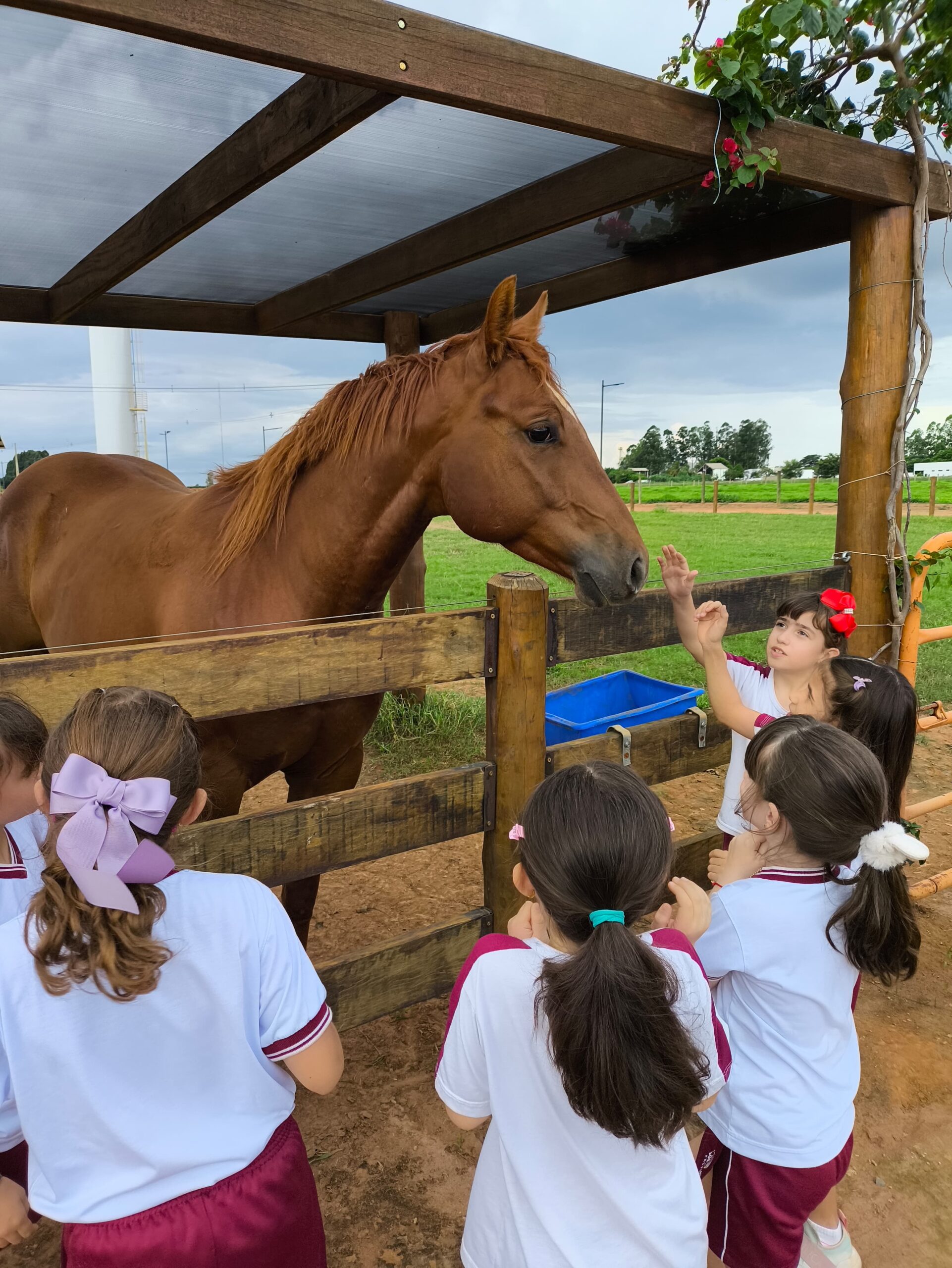 Imagem do WhatsApp de 2025-03-14 à(s) 12.22.46_903d1f7d