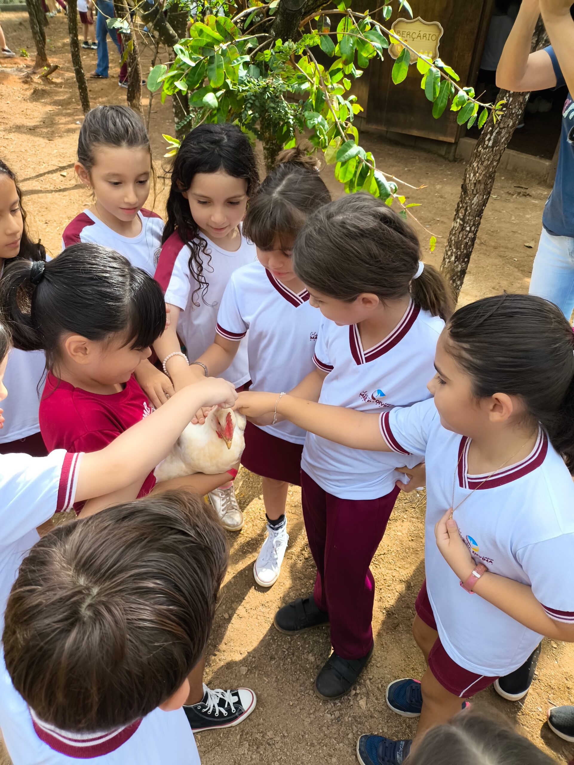 Imagem do WhatsApp de 2025-03-14 à(s) 12.22.54_194daf62