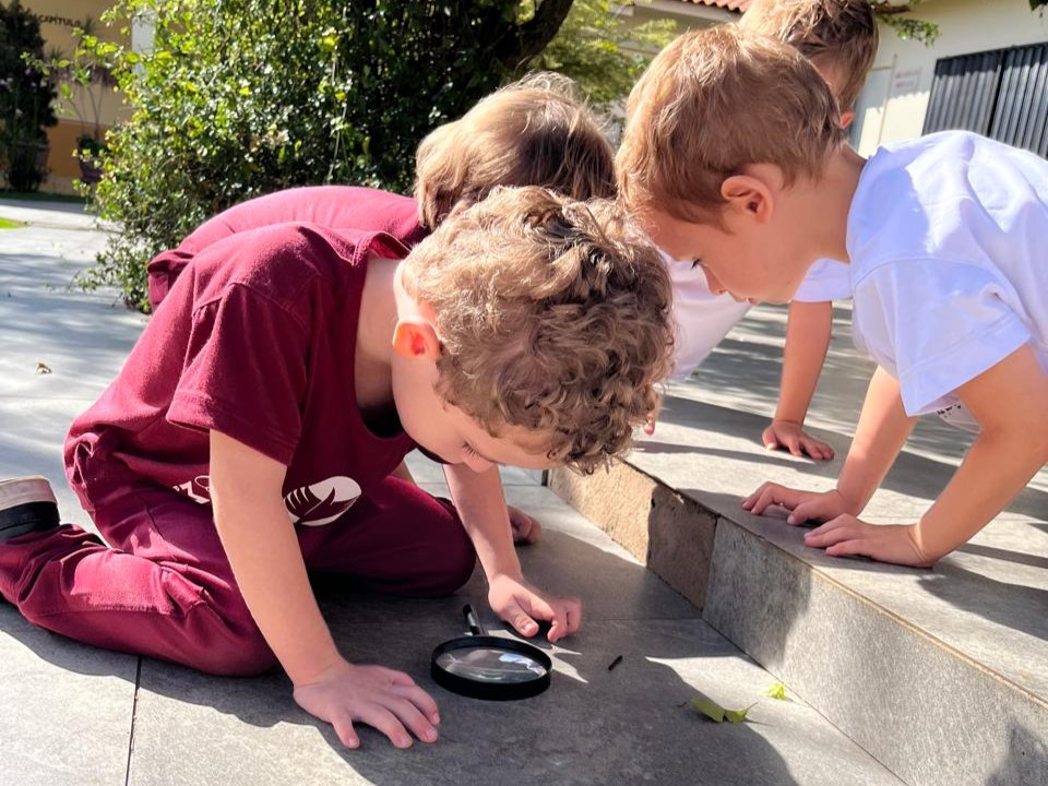 Imagem do WhatsApp de 2025-06-09 à(s) 17.25.58_be8c6465