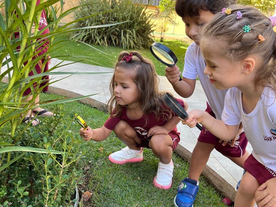 Imagem do WhatsApp de 2025-06-09 à(s) 17.25.59_154a7c3e